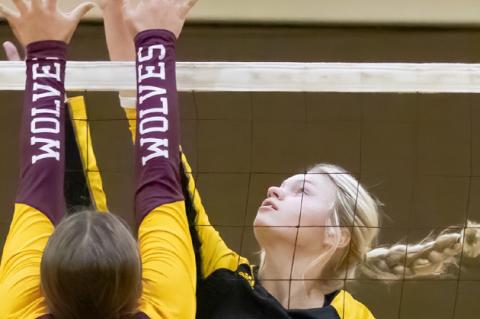 Article Image Alt Text