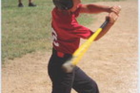 Article Image Alt Text