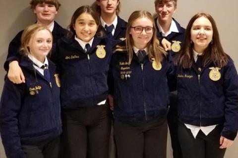 Article Image Alt Text