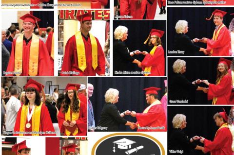 Article Image Alt Text