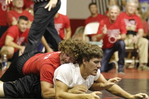 Article Image Alt Text