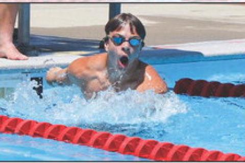 Article Image Alt Text