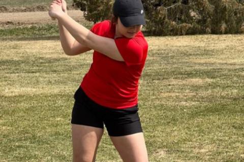 Article Image Alt Text