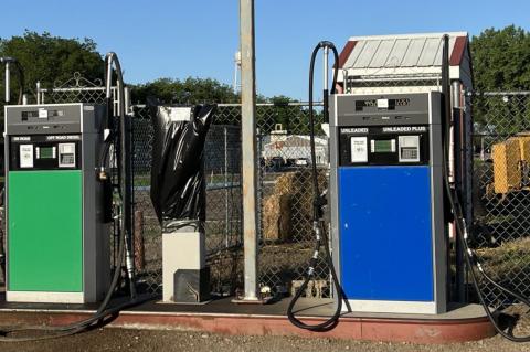 Article Image Alt Text