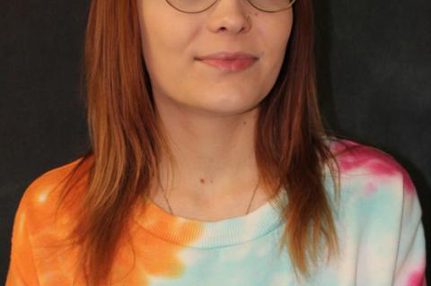 Article Image Alt Text