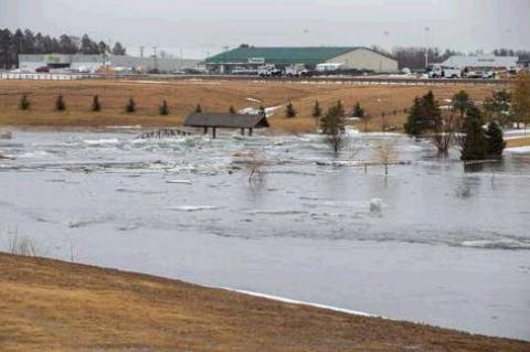 Article Image Alt Text