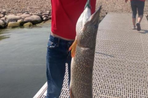 SOUTH DAKOTA’S GREAT NORTH COUNTRY – IF YOU HAVEN’T, GIVE IT A TRY.