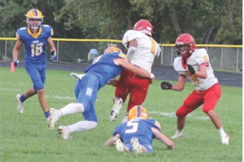 Article Image Alt Text