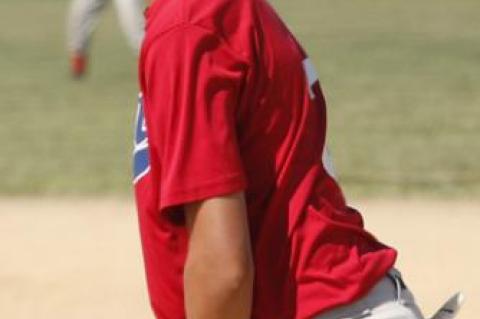 Article Image Alt Text