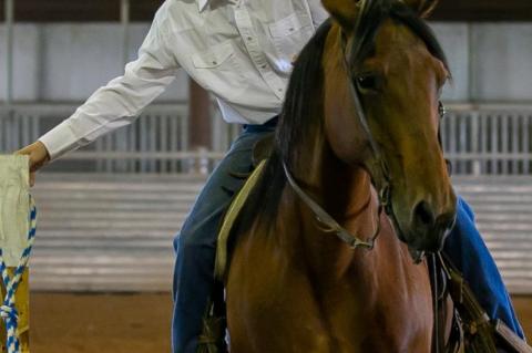 4-H HORSE SHOW PROJECT MEMBER RESULTS