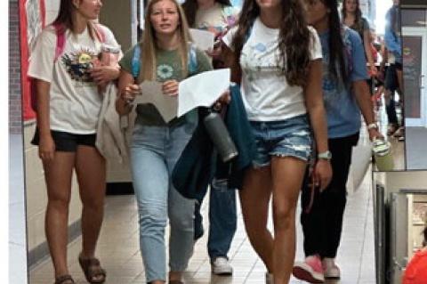 Article Image Alt Text