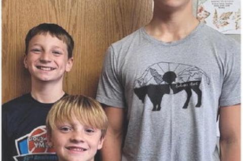 Article Image Alt Text