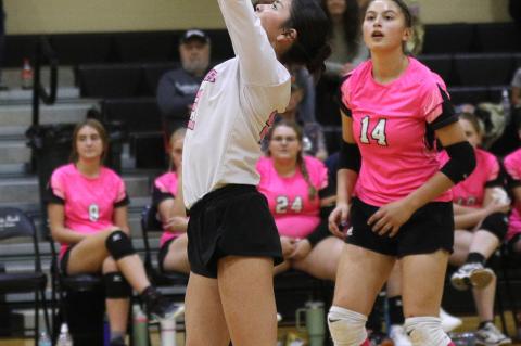 Article Image Alt Text