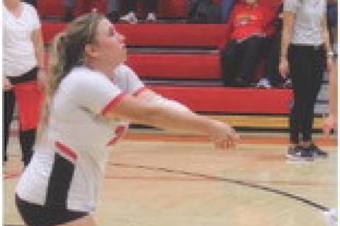 Article Image Alt Text