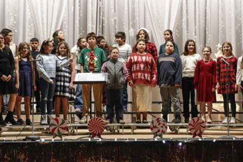 Article Image Alt Text