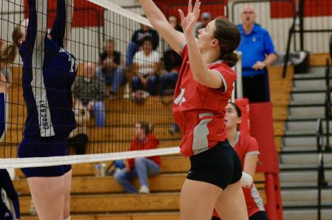 Article Image Alt Text