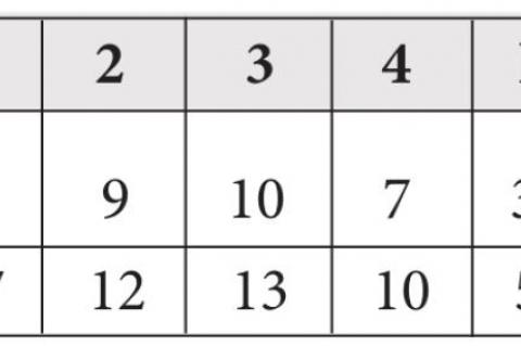 LADY PIRATES FALL TO V-H 