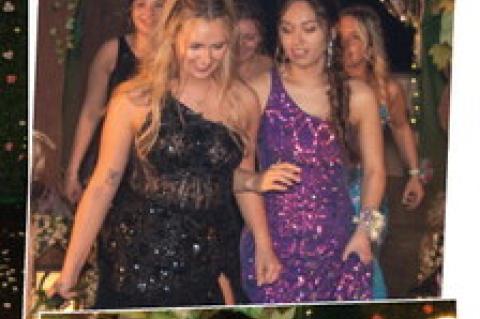 Article Image Alt Text