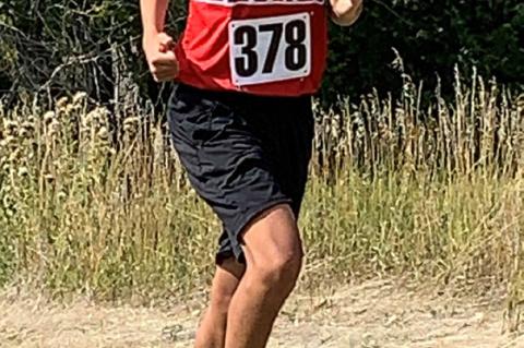 Article Image Alt Text