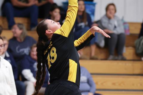 Article Image Alt Text