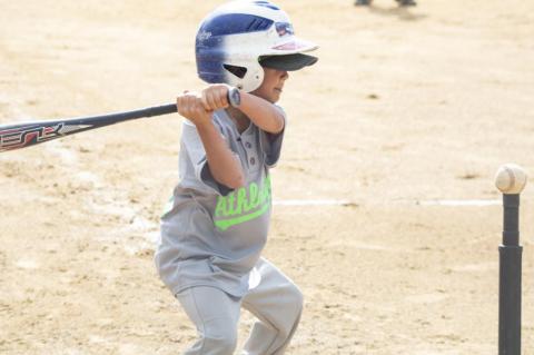 Article Image Alt Text