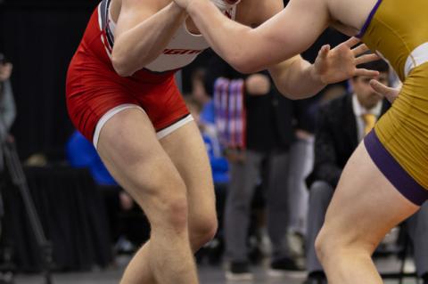 Article Image Alt Text