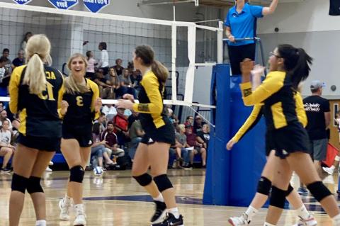 Article Image Alt Text