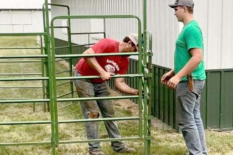 Article Image Alt Text