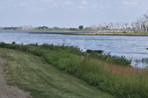 Article Image Alt Text