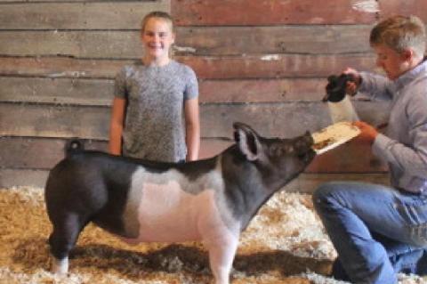 Article Image Alt Text