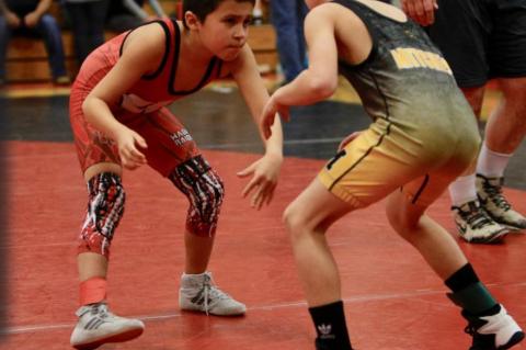 Article Image Alt Text