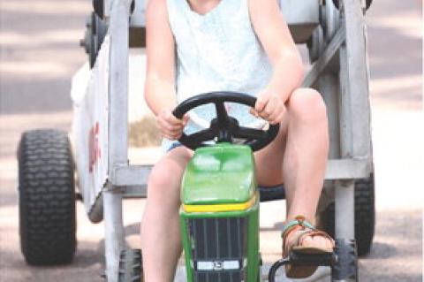 Article Image Alt Text