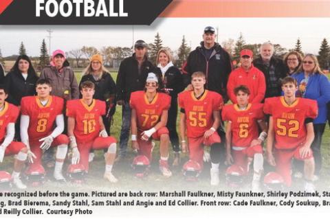 Article Image Alt Text