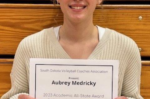 Article Image Alt Text