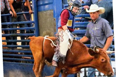 Article Image Alt Text