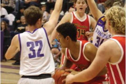 Article Image Alt Text