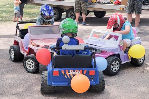 Article Image Alt Text