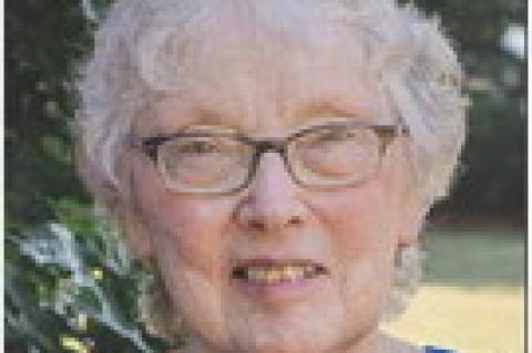 Article Image Alt Text