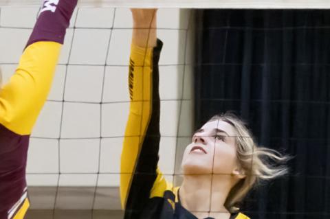 Article Image Alt Text