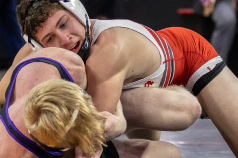 Article Image Alt Text