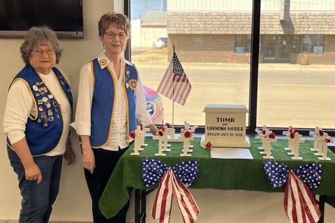 Article Image Alt Text