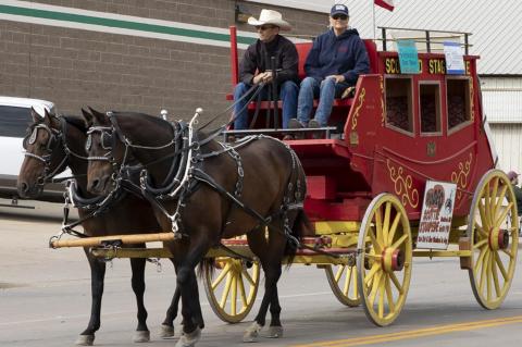 Article Image Alt Text