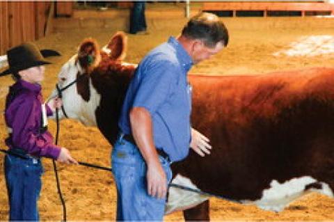 4-H ACHIEVEMENT DAYS HELD