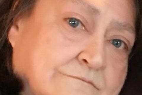 Article Image Alt Text