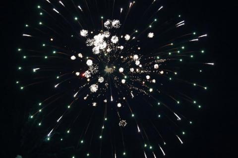 Article Image Alt Text