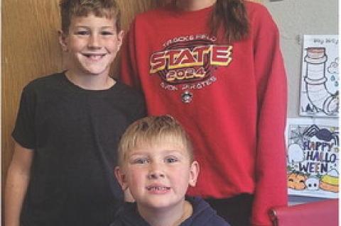 Article Image Alt Text