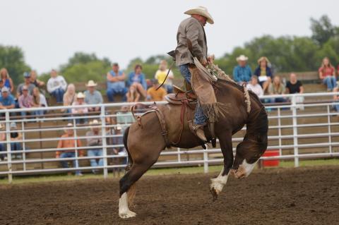 Article Image Alt Text