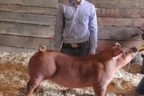 Article Image Alt Text