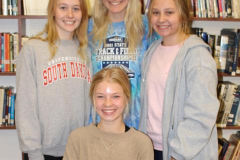 Article Image Alt Text