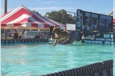 DOCK DOGS AT MCCORMICK PARK